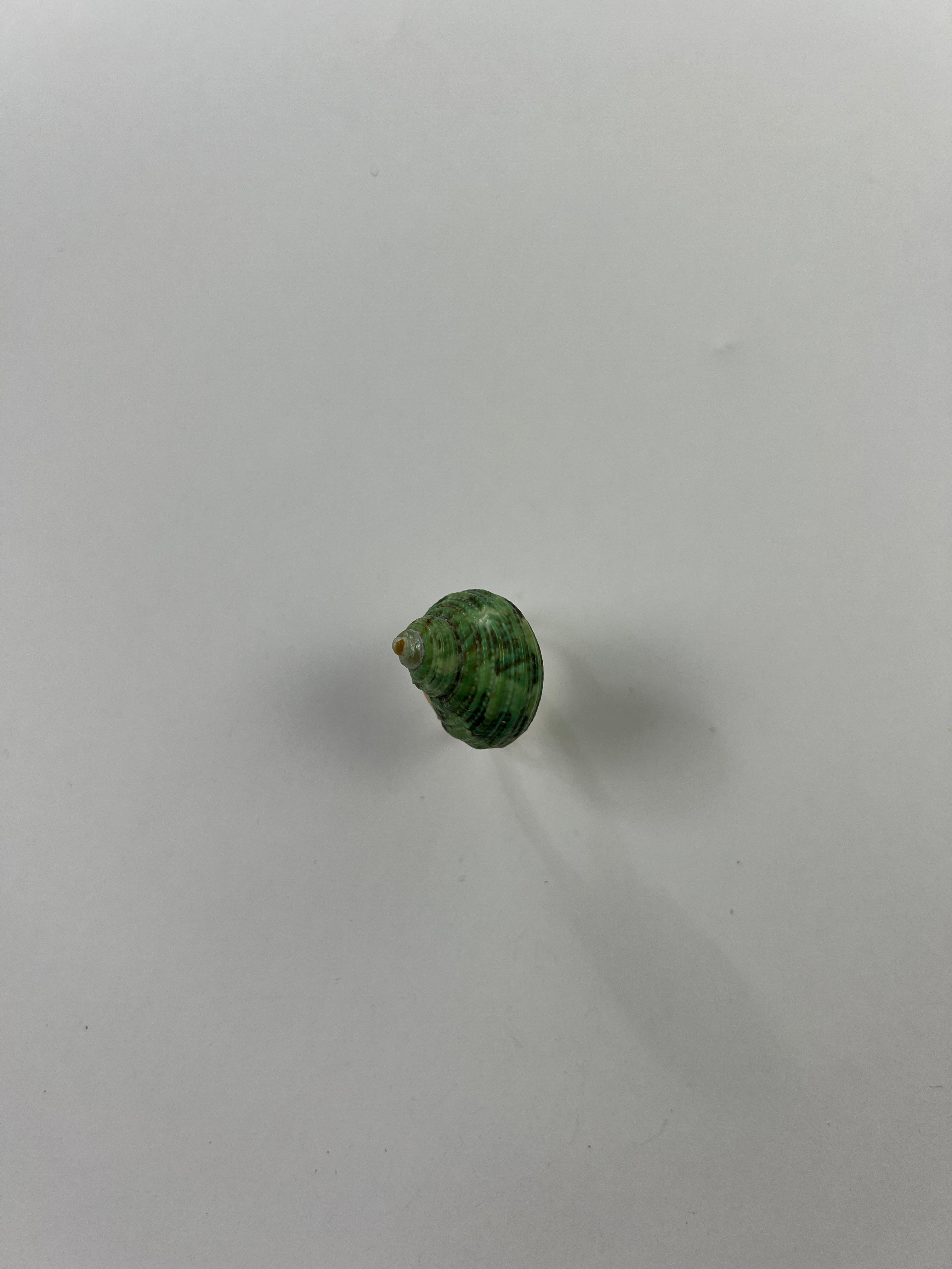 SKY RING